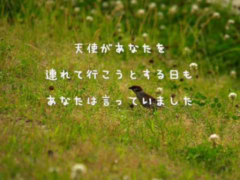 【Hawaiian6】 A LOVE SONG 【日本語訳】 acordes