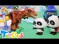 티라노 공룡장난감 놀이|꼬마공룡 상어 자동차 |주방놀이 요리만들기 |토이버스|ToyBus
