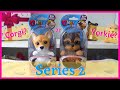 Brand New OMG Pets Series 2 from Little Live I How to play with your Corgi and Yorkie Puppies