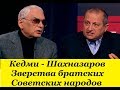 Кедми - Шахназаров Оболганная и великая Красная Армия