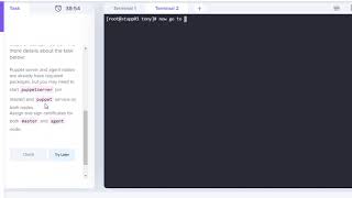 Setup Puppet Certs  #puppet #devops #cert #howto #CA #file #host #certificate