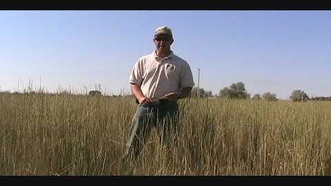 Grazing Management Basics