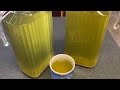 清暑解熱菊花茶:當水飲、日日飲的菊花茶 Chrysanthemum tea：daily drink that help with high blood pressure[中文字幕 / Eng Sub]