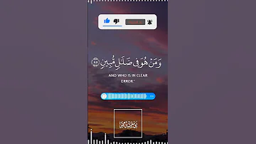 تلاوة هادئة تريح الأعصاب القارئ عبدالرحمن مسعد سورة القصص 