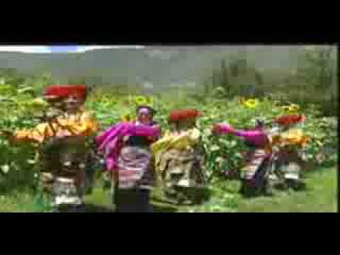 Tibetan Culture flourishing (song & dance) #307