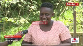 Abanoonya Nandego Shamira ku Musajja Omurasta kwafiira