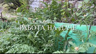 видео: КУПИЛИ ДАЧУ. Боюсь не осилить столько работы! картинка: КУПИЛИ ДАЧУ. Боюсь не осилить столько работы!