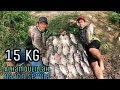 Menjala ikan nila Babon di sungai dapat 15 kg lebih pas di sarangnya