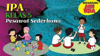 Thematic SD Class 5 - Science _ Simple Aircraft