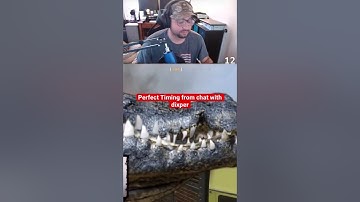 Perfect Timing by chat with Dixper! #shorts