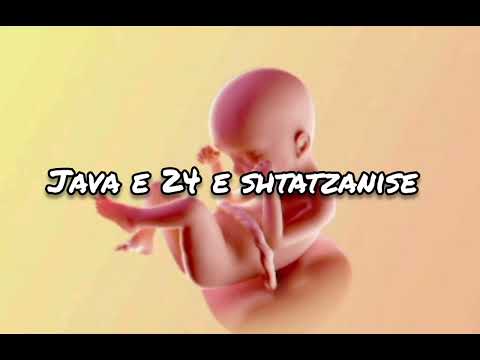 Java e 24 e Shtatzanise. Cfare pritet te ndodhe gjate kesaj jave?