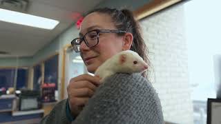 Wild Rose Vet Season 2 WEBISODE: Noodle Kittens