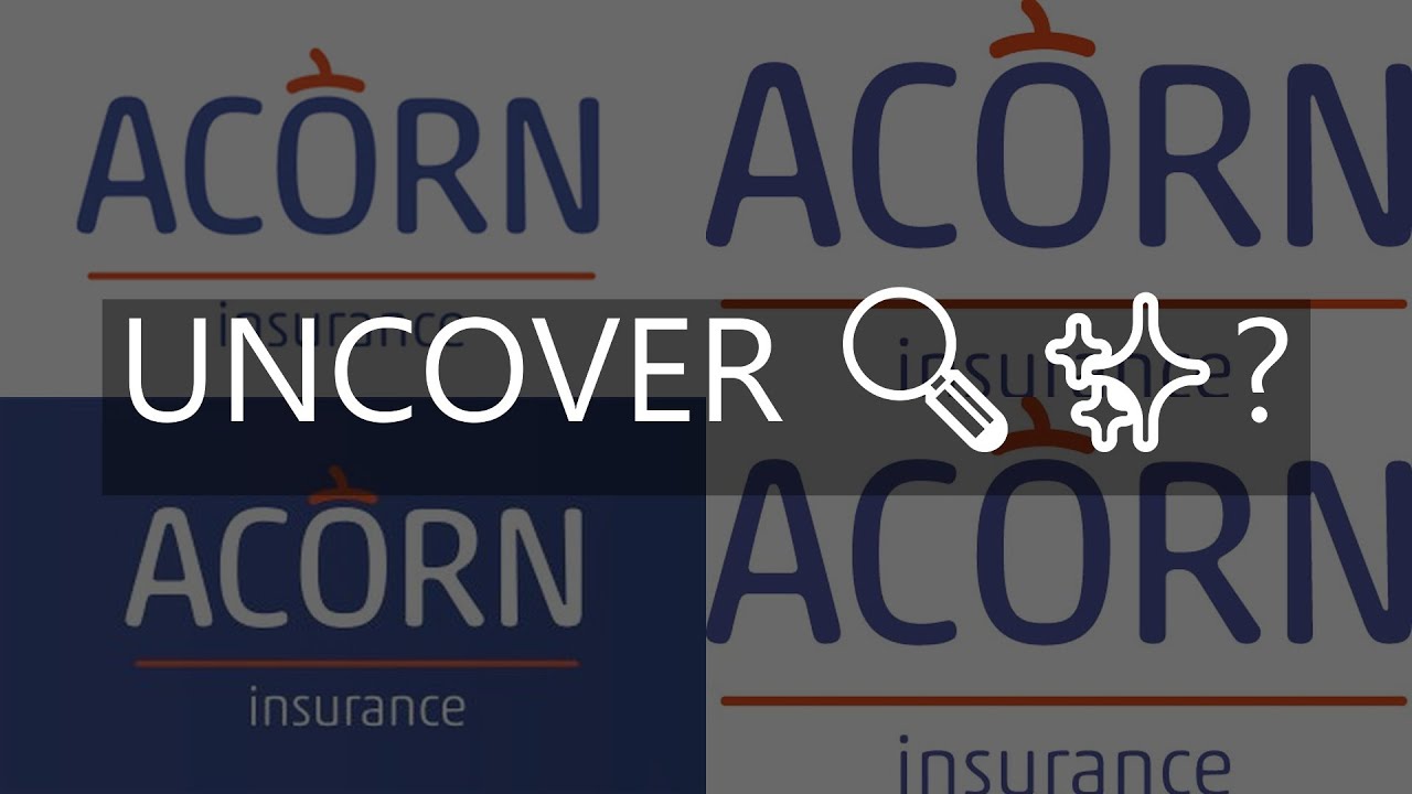 acorn insurance review a niche option for high risk drivers - YouTube