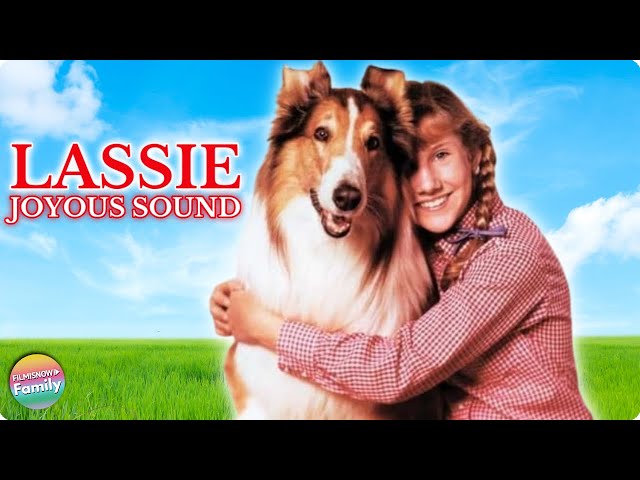 LASSIE MOVIE DVD EXCELLENT CONDITION DRAMA FAMILY ADVENTURE 1994