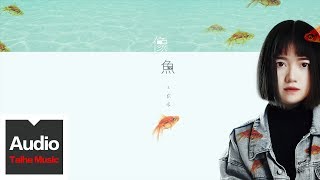 王貳浪【像魚】HD 高清官�...