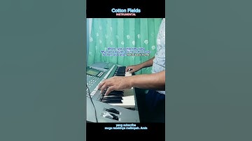 Thumbnail of Cotton Fields #instrumental