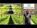 Manejo de la solucion nutritiva en hidroponia