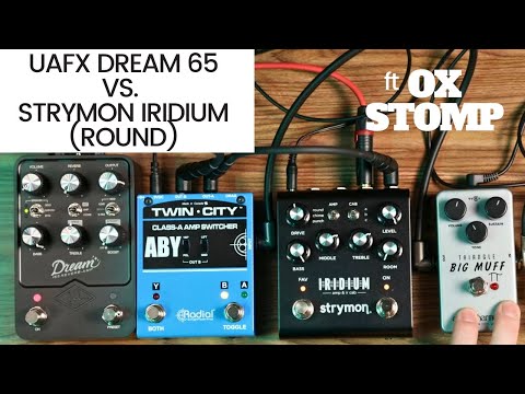 UAFX Dream65 vs Strymon Iridium (Round) ft. Ox Stomp