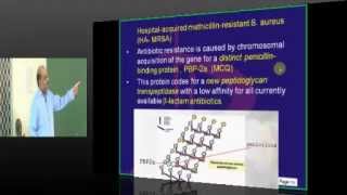 Staphylococcus High yield Topic Microbiology for USMLE Step 1 prep www.anatomy2medicine.com