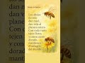 El milagro dorado de la vida 🌻🐝 #reflexion #amor #abejas #vida #frases