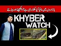 Khyber watch with malik ismail  quality meat in khyber pakhtunkhwa  khyber news  kr1