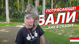 ПОТРЯСАЮЩИЙ БАЛИ! ЛЕС ОБЕЗЬЯН, ОЗЕРА, ВОДОПАД И ДР. BALI 2023