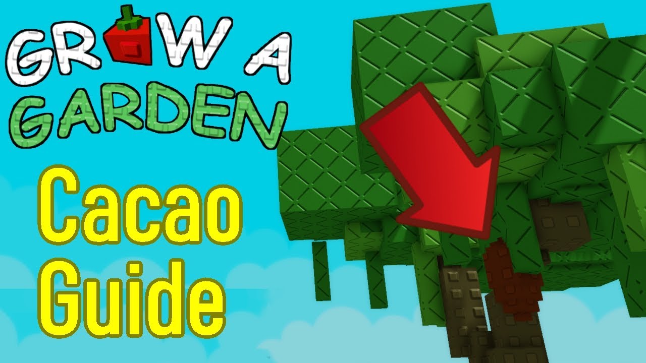 Grow A Garden Cacao Seed Showcase Cocoa Beans Price How To Get Cocoa 