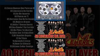 LJ01 MC01 RM SP 9X16 250731 CIDAIHUADONG01