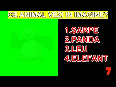 Video: Cât câștigă consultanții de imagine?