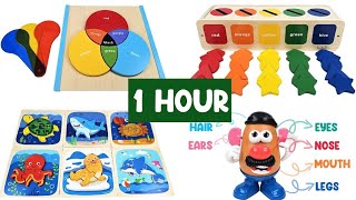 Best Toddler Learning Video! | Learn ABC, Colors, Shapes | Educational 1 hour #kidslearning