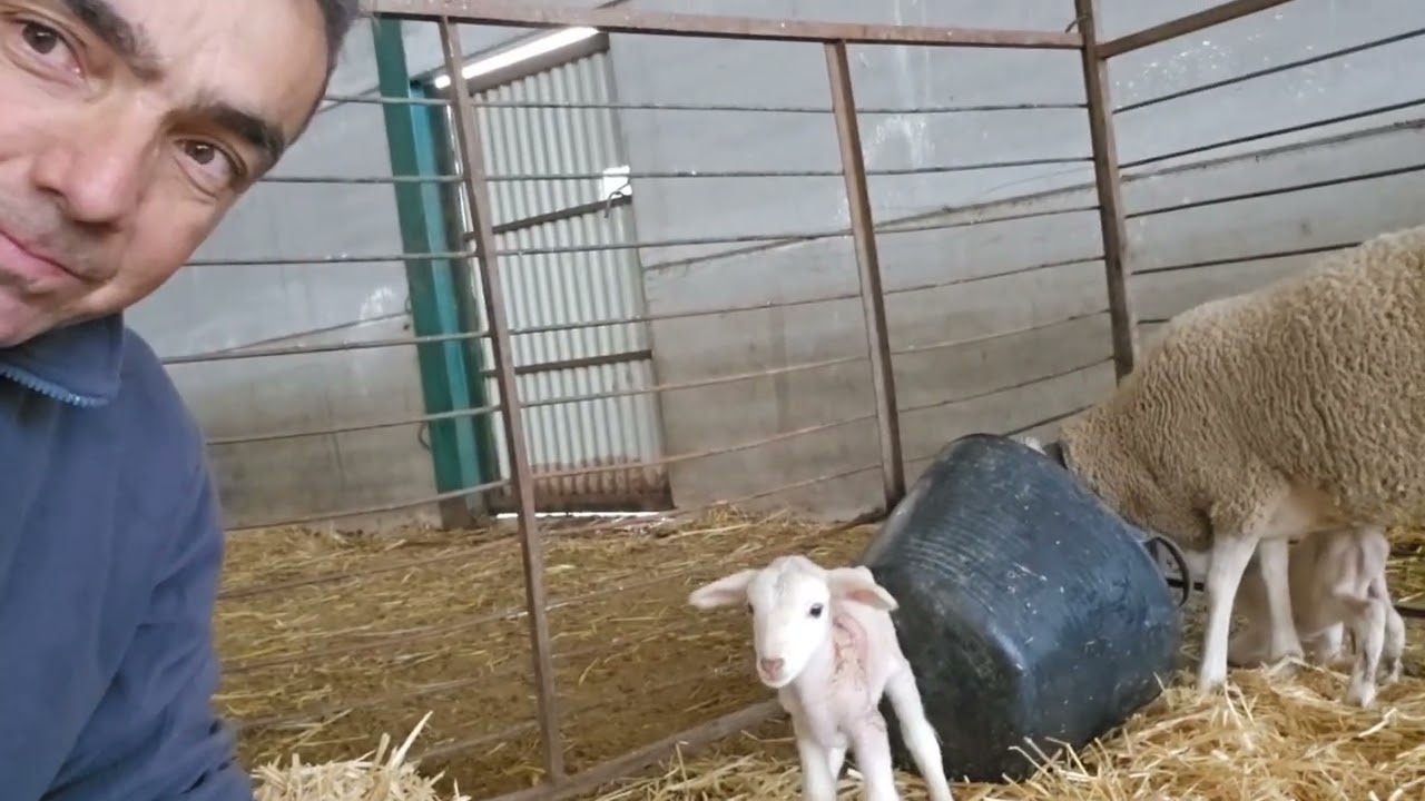 Ya nos tocaba... la primera con doblete..