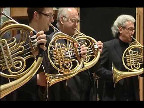 vienna-horns-back-to-the-future