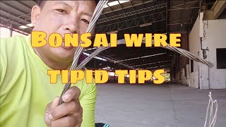 How to make bonsai wire/ tipid tips
