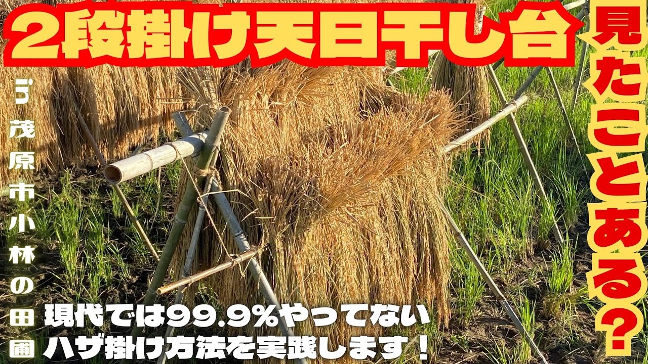 2段掛け天日干し台、見たことある？【里山再生・土壌改善・開拓型農業