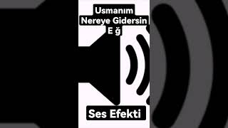 Usmanım Nereye Gidersin E ğ - Sound Effects (Effects Evim) Resimi