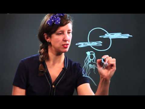 ვიდეო: როგორ ვისწავლოთ ფანტაზიის ხატვა