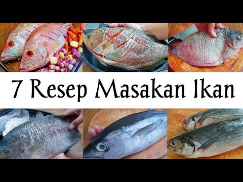 Video: Apa Yang Boleh Dimasak Dari Ikan