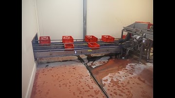 786-9: Viscon 90 ° curve conveyor with crate tipper