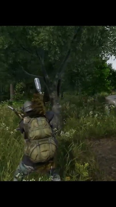Один день игры - DayZ #shorts - YouTube