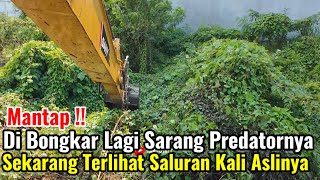 Download Lagu Mantap‼️Di Bongkar Lagi Sarang Predatornya Sekarang Sudah Terlihat Aliran Kali Aslinya MP3 Download Lagu Mantap‼️Di Bongkar Lagi Sarang Predatornya Sekarang Sudah Terlihat Aliran Kali Aslinya MP3