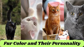 Decoding What Your Cats Color Says About Their Personality