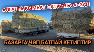 Жаз ЧЫГАЙЫН десе да чөп БАЗАР кызып ЖАТАТ