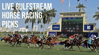 Live Gulfstream Horse Racing Picks