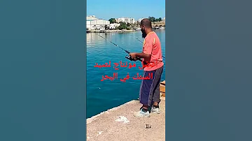 أفضل مونتاج لصيد سمك البحر في جيجل جوهرة الشرق Sofiene Fishing 