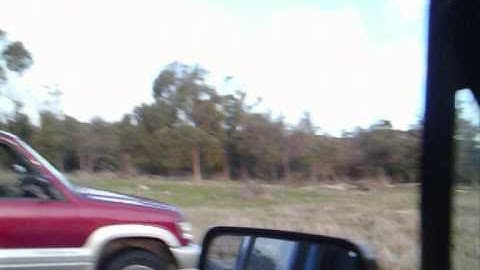 blowing tree stumps up music video