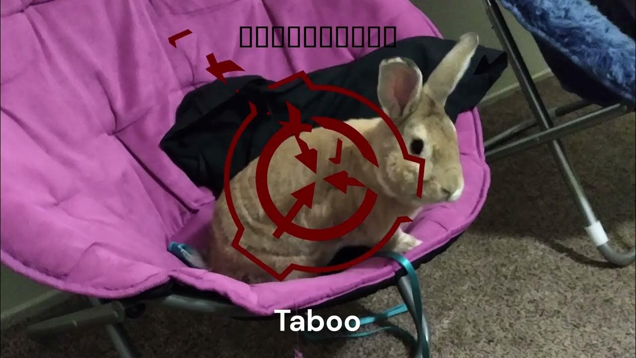 Taboo Site17 Deepwell Catalog YouTube