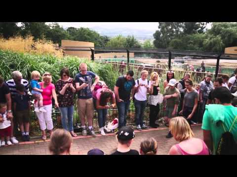 Edinburgh Zoo - A Great Day Out For A Good Cause
