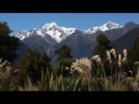 Video: Den kompletta guiden till Westland Tai Poutini National Park