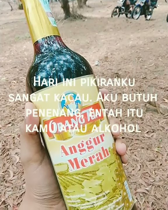 HARI INI PIKIRANKU SANGAT KACAU, AKU BUTUH PENENANG CUMA KAMU DAN ALKOHOL!!