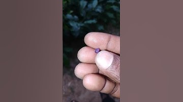 Corundum red gems.A very rare red gem.. has great value.#shortvideo #gemquality #gemstone #redgem 💎💎